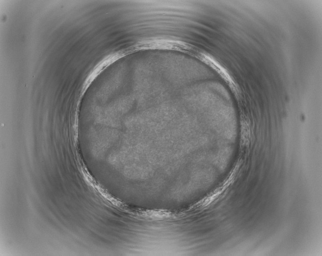 X0000085820994200704091627