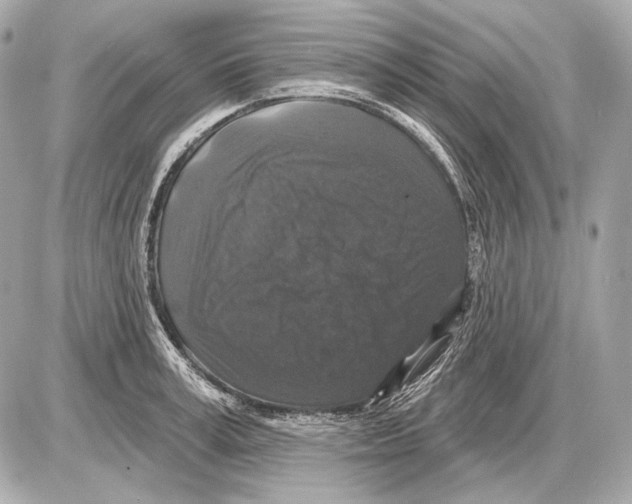 X0000085820995200704091627