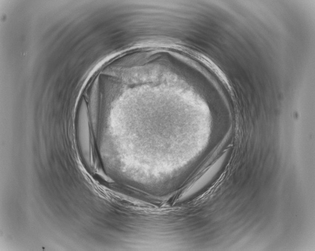 X0000085820996200704091627