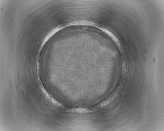 X0000085820998200704091627