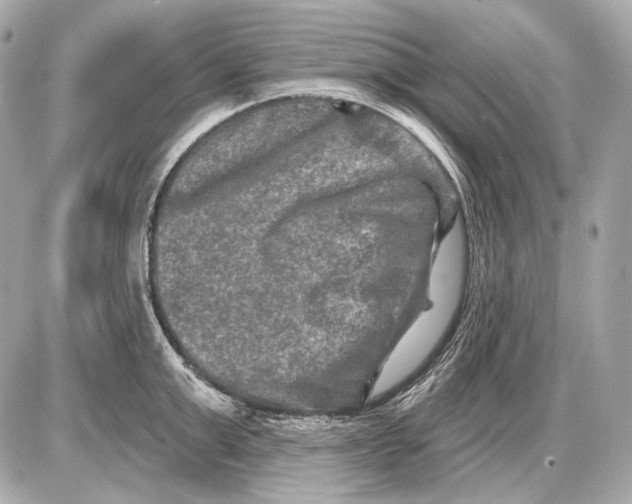 X0000085820999200704091627