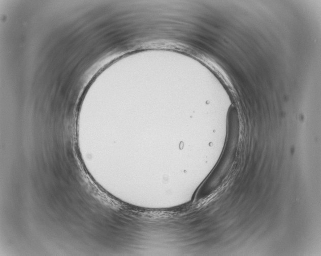 X0000085821000200704091627