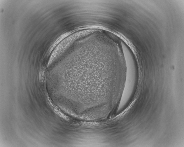 X0000085821001200704091627