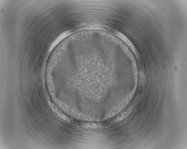 X0000085821002200704091627