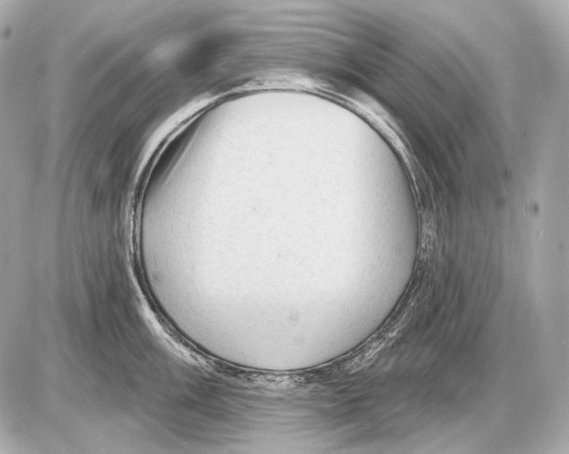 X0000085821003200704091627