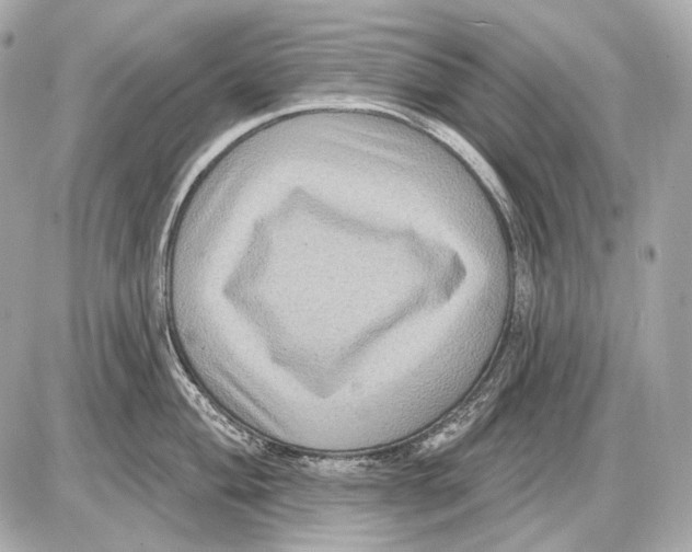 X0000085821004200704091627