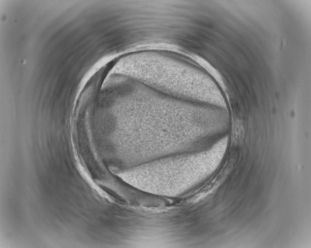 X0000085821005200704091627