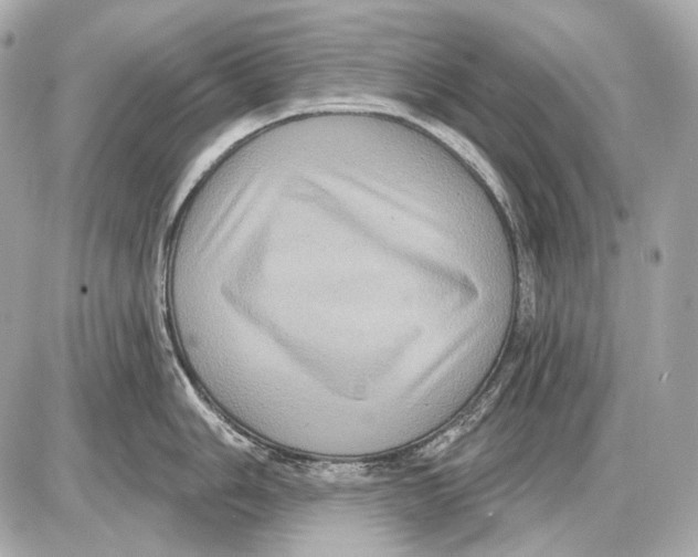 X0000085821006200704091627