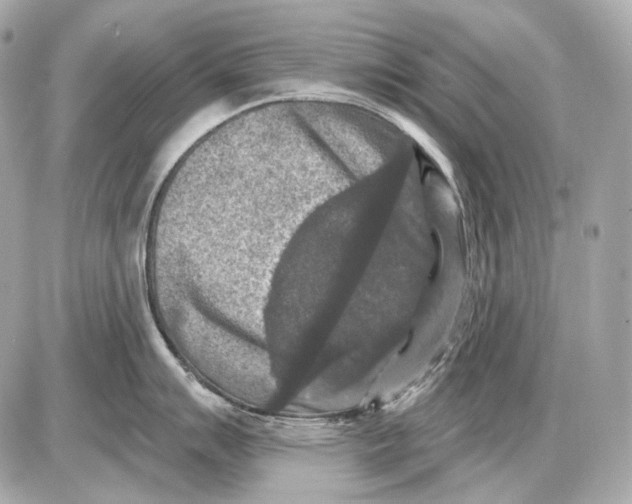 X0000085821007200704091627