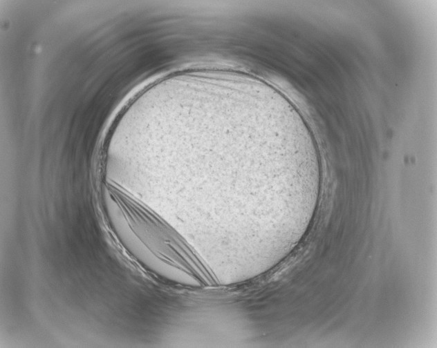 X0000085821008200704091627