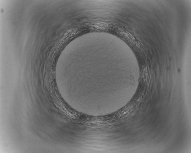 X0000085821009200704091626