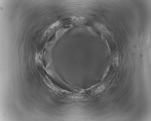 X0000085821010200704091626