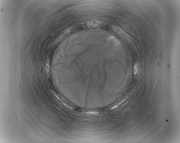 X0000085821011200704091626