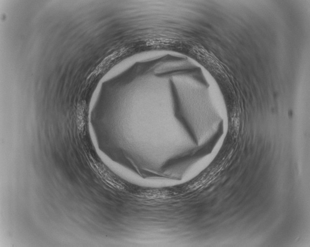 X0000085821012200704091626