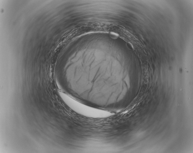 X0000085821013200704091626