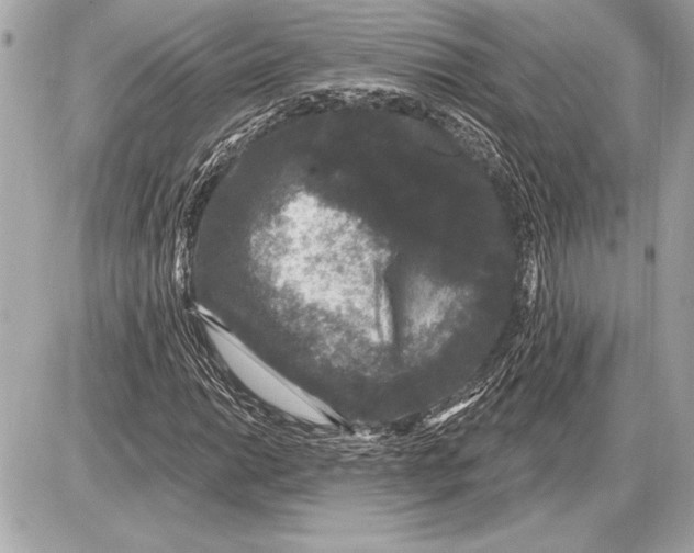 X0000085821014200704091626