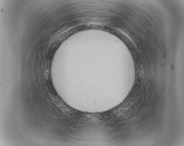 X0000085821015200704091626