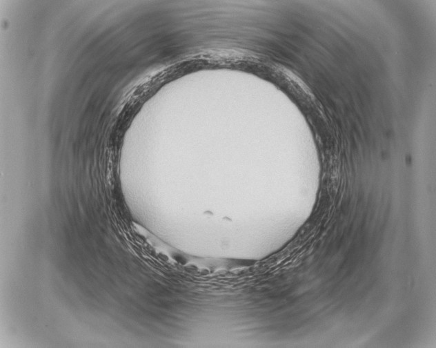 X0000085821016200704091627