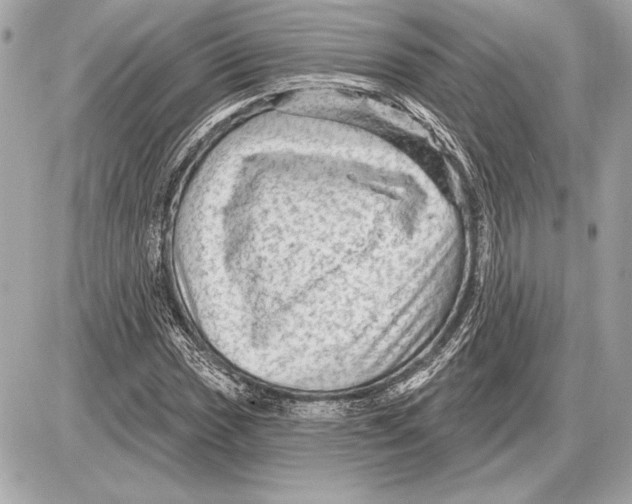 X0000085821017200704091627