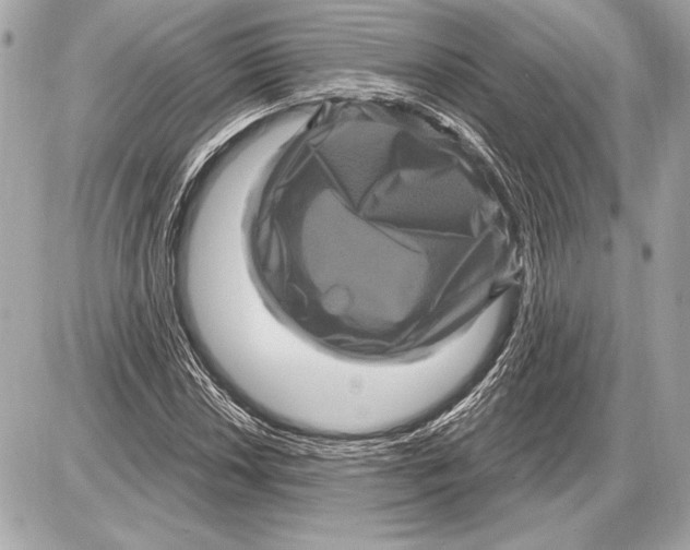 X0000085821018200704091627