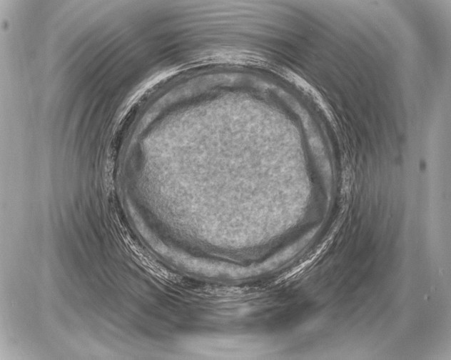 X0000085821019200704091627