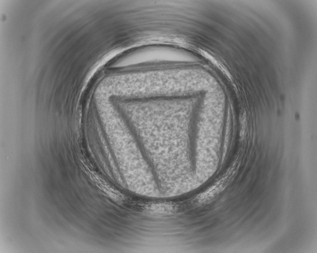 X0000085821021200704091627