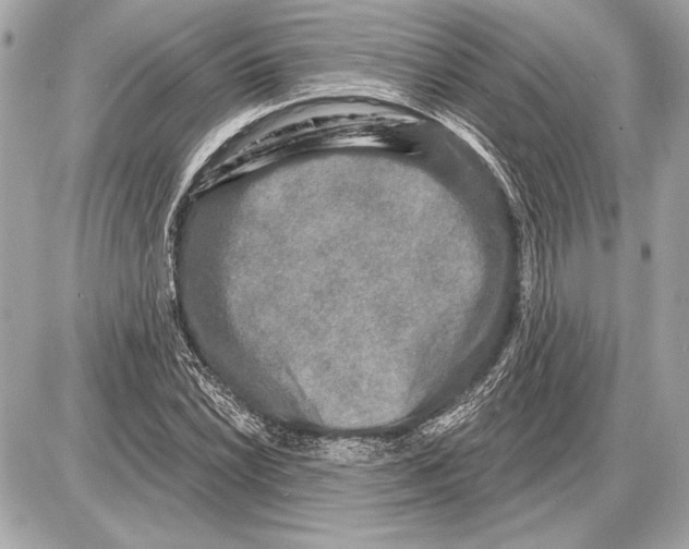 X0000085821022200704091627