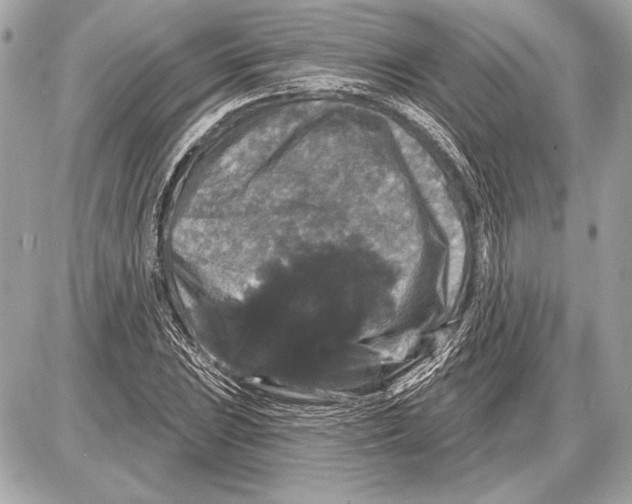 X0000085821023200704091627