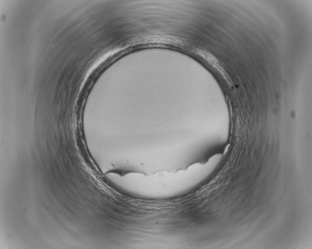 X0000085821024200704091627