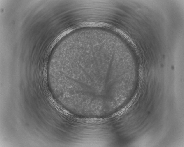 X0000085821025200704091627