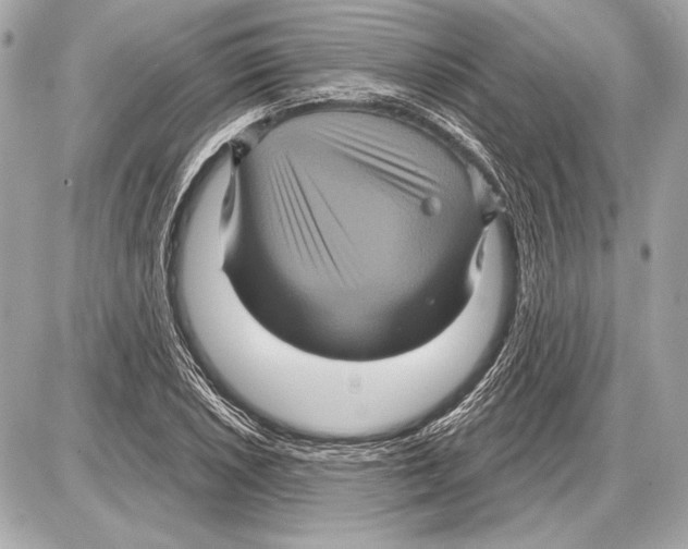 X0000085821026200704091627