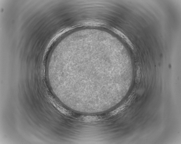 X0000085821027200704091627