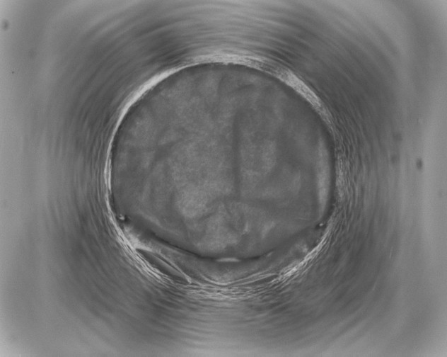 X0000085821028200704091627