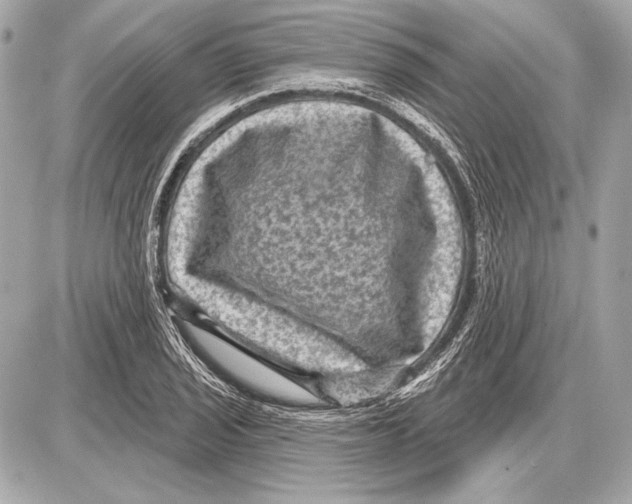 X0000085821029200704091627