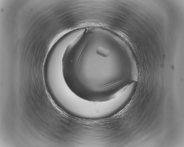 X0000085821030200704091627