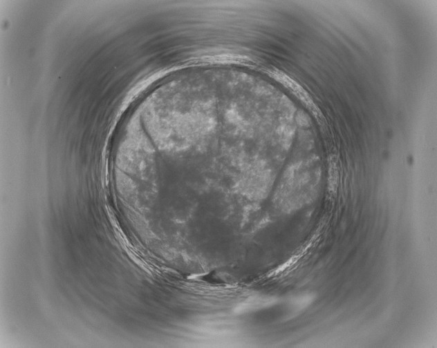 X0000085821031200704091627