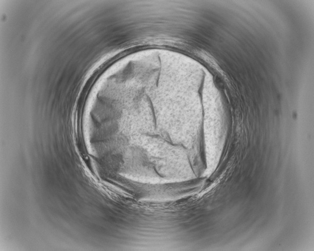 X0000085821032200704091627