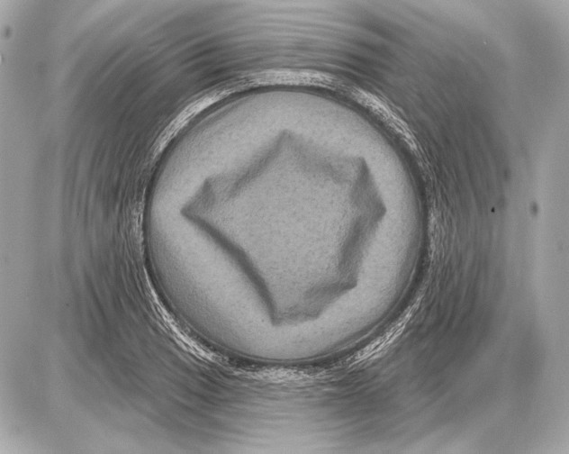 X0000085821033200704091627