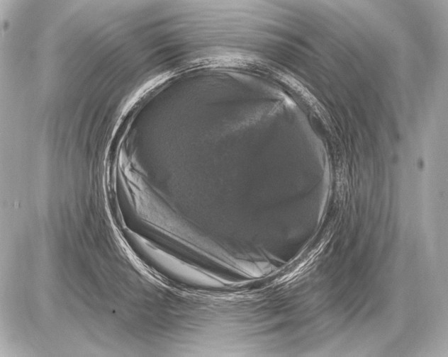 X0000085821034200704091627