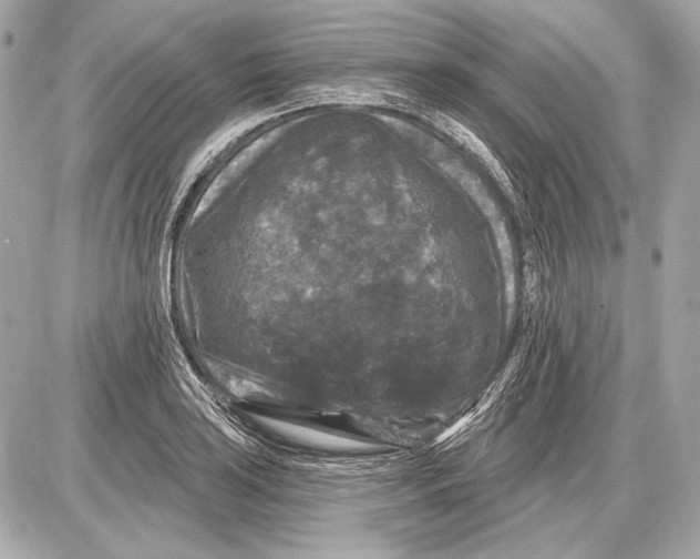 X0000085821035200704091627