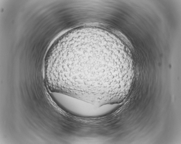 X0000085821036200704091627