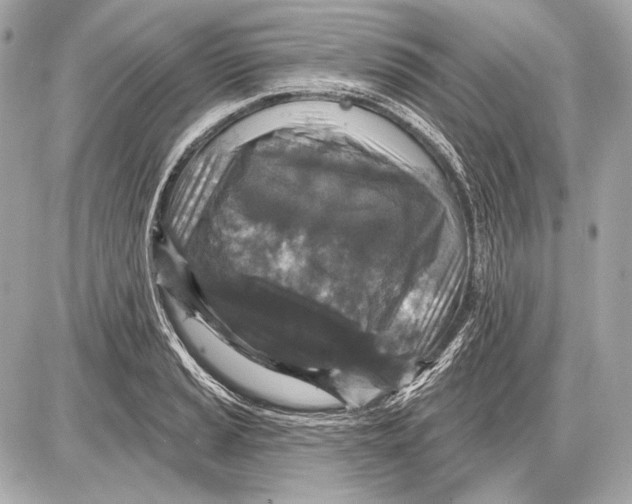 X0000085821037200704091627