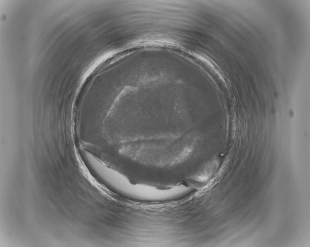 X0000085821038200704091627