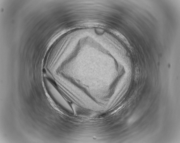 X0000085821039200704091627