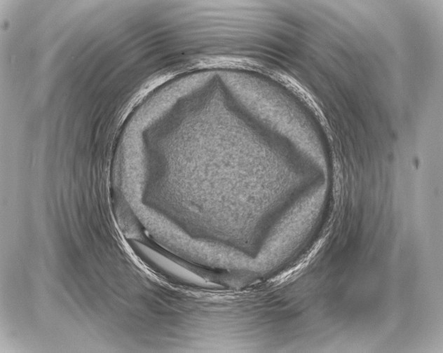 X0000085821041200704091627