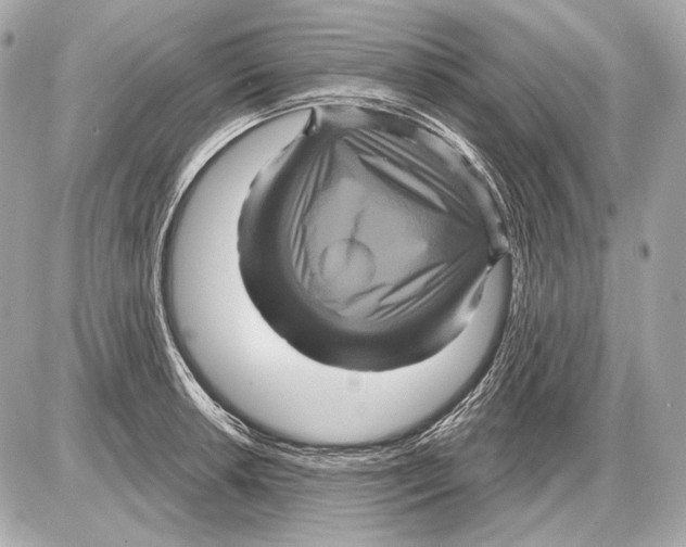 X0000085821042200704091627