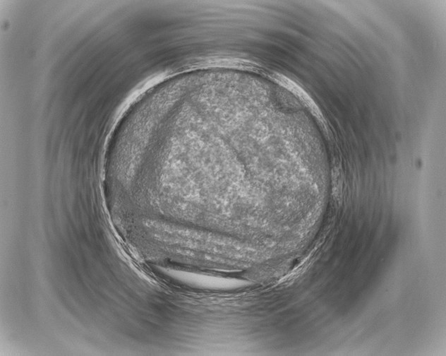 X0000085821043200704091627