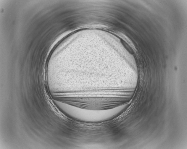 X0000085821044200704091627