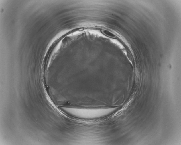 X0000085821045200704091627