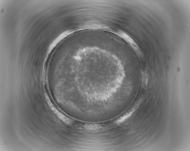 X0000085821046200704091627